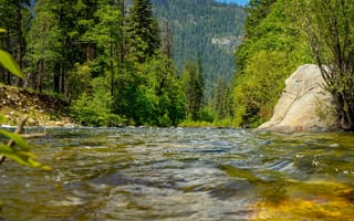 Картинка река, природа, лес, камень, вода, пейзаж, лето, горный