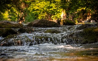 Картинка природа, вода, поток, камни, зелень, пейзаж, освещение