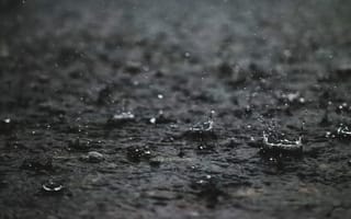 Картинка дождь, капли, вода, природа, мокро, пейзаж, осень
