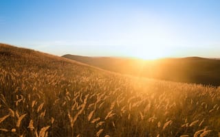 Картинка закат, пейзаж, природа, трава, солнце, горизонт, лето