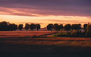 Картинка пейзаж, закат, природа, поля, деревья, небо, тишина