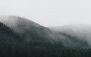 Картинка лес, туман, горы, природа, пейзаж, мгла, спокойствие