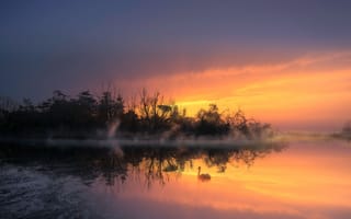 Картинка закат, озеро, природа, лебедь, отражение, туман, пейзаж, деревья, мирный, красота