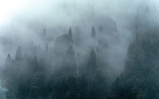 Картинка лес, туман, природа, деревья, горы, пейзаж, мгла
