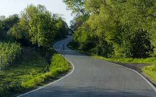 Картинка дорога, природа, зелень, пейзаж, лето, ветви, свет