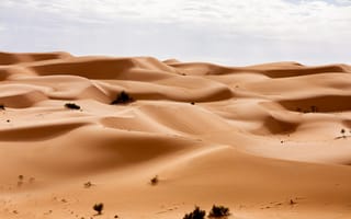 Картинка пустыня, пески, дюны, природа, ландшафт, небо, сухой