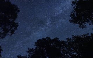 Картинка звезды, ночное небо, галактика, природа, лес, астрономия, млечный путь
