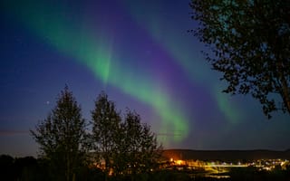 Картинка северное сияние, ночное небо, природа, деревья, пейзаж, звезды, освещение