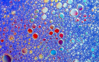 Картинка пузырьки, цвета, абстракция, текстура, вода, гладкость, свет