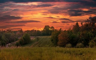 Картинка закат, природа, пейзаж, деревья, небо, трава, осень, цвета, поля, тишина
