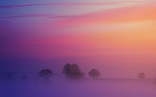 Картинка закат, пейзаж, туман, деревья, небо, цвета, природа, мягкий свет, глубина, тишина