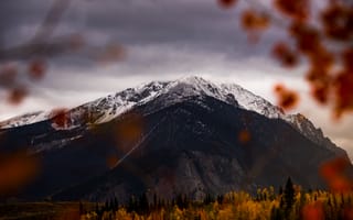 Картинка горы, гора, природа, вершина, осень