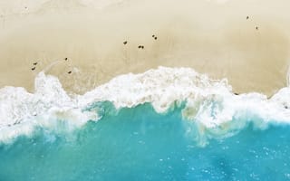 Картинка океан, море, вода, природа, волна, голубой, бирюзовый, пляж, песок, песчаный, сверху, c воздуха, аэросъемка, с дрона, лето
