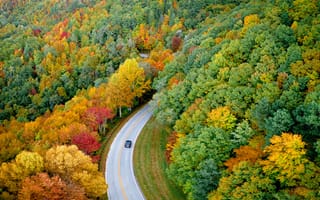 Обои осень, осенние, время года, сезоны, сезонные, дорога, путь, маршрут, сверху, c воздуха, лес, деревья, лесной, природа, лист, листья, листва, осеньfoliage