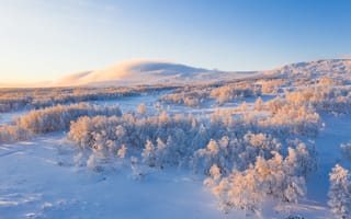 Обои зима, зимние, время года, сезоны, сезонные, гора, природа, лес, деревья, лесной, снег, белый