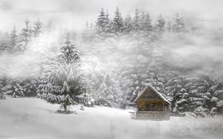 Картинка зима, лес, снег, дом, пихта, ель, сосна