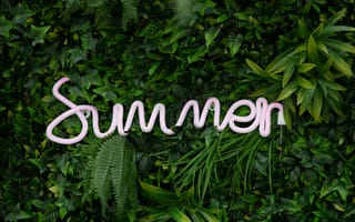 Картинка лето, летние, лист, зеленый, надпись, слова