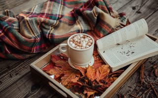 Картинка осень, осенние, время года, сезоны, сезонные, кленовый лист, лист, клен, листья, листва, уют, уютный, плед, чашка, какао