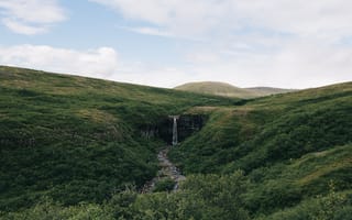 Картинка природа, тропа Свартифосс, Скафтафетль, Исландия, лес, деревья, дерево, лесной, водопад, вода