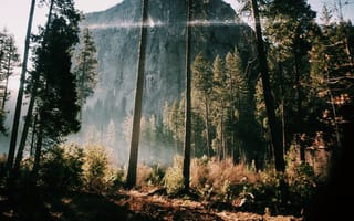 Картинка горы, гора, природа, Йосемитская долина, Калифорния, лес, деревья, дерево, лесной