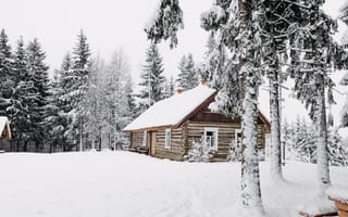 Обои зима, зимние, время года, сезоны, сезонные, белый, снег, лес, деревья, лесной, природа, ель, елка, дом, пейзаж