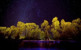 Картинка природа, Харлоутон, Монтана, США, лес, деревья, дерево, лесной, ночь, темный, темнота, звезды, звезда