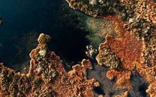 Картинка природа, Какердая, Эстония, болото, сверху, c воздуха, аэросъемка, съемка с дрона