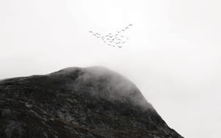 Картинка горы, гора, природа, Синсхорн, Норвегия, вершина, туман, дымка, птица, птицы, стая