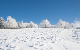 Картинка зима, зимние, время года, сезоны, сезонные, снег, белый, лес, деревья, дерево, лесной, природа, поле