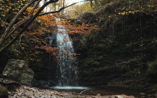 Картинка водопад, осень, лес, дерево, всплеск, Кантабрия, Испания