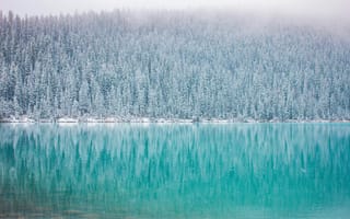 Картинка Луиза, Банф, Альберта, Канада, национальный парк, парк, зима, зимние, время года, сезоны, сезонные, лес, деревья, дерево, природа, отражение, пейзаж