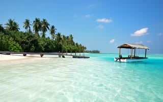 Картинка Медхуфуши, Мальдивы, океан, море, вода, природа, берег, побережье, песок, песчаный, пляж, голубой, бирюзовый, пальма, дерево, тропики, тропический, отпуск