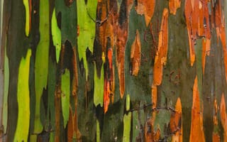 Картинка краска, текстурный, текстурные, текстура, текстуры