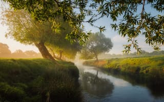 Картинка природа, река, утро, утренний