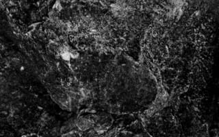 Картинка камень, текстурный, текстурные, текстура, текстуры, поверхность, черно-белый, черный, монохром, монохромный