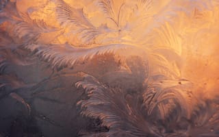 Картинка иней, мороз, зима, текстурный, текстурные, текстура, текстуры