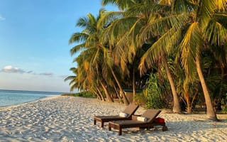 Картинка Мальдивы, лето, летние, берег, побережье, песок, песчаный, пляж, тропики, тропический, пальма, дерево, шезлонг, отпуск, релакс