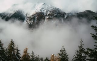 Картинка горы, гора, природа, Гармиш-Партенкирхен, Германия, пейзаж, скала, лес, деревья, дерево, атмосферный, туман, дымка, осень