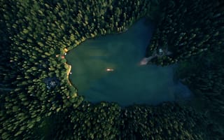 Картинка Синевир, Украина, озеро, пруд, вода, природа, лес, деревья, дерево, сверху, c воздуха, аэросъемка, с дрона