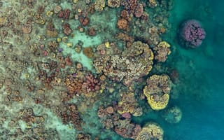 Картинка Большой Барьерный риф, океан, море, вода, природа, риф, сверху, c воздуха, аэросъемка, с дрона