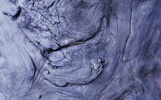 Картинка текстурный, текстурные, текстура, текстуры, кора, деревянный, деревянная, макро, крупный план