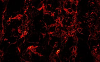 Картинка текстурный, текстурные, текстура, текстуры, темный