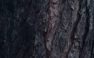 Картинка текстурный, текстурные, текстура, текстуры, фон, деревянный, деревянная, кора, темный