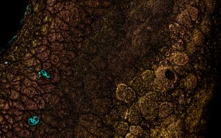 Картинка текстурный, текстурные, текстура, текстуры, зернистость, зернистая текстура, гранж