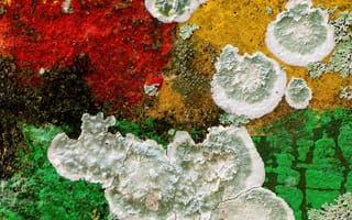 Картинка текстурный, текстурные, текстура, текстуры, фон, гранж, стена, разводы, брызги, краска, цветной, разноцветный