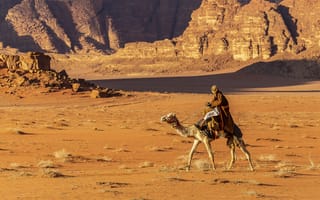 Картинка пустыня, скала, верблюд, песок, разные