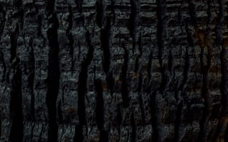 Картинка текстурный, текстурные, текстура, текстуры, поверхность, камень
