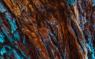 Картинка кора, текстурный, текстурные, текстура, текстуры, макро, крупный план