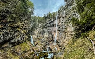 Картинка водопад, природа, скала, лес, деревья, дерево