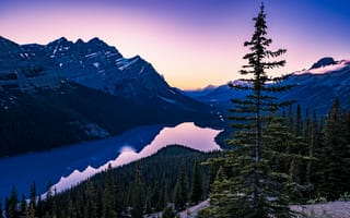Картинка Пейто, Альберта, Канада, горы, гора, природа, пейзаж, озеро, пруд, вода, лес, деревья, дерево, вечер, закат, заход